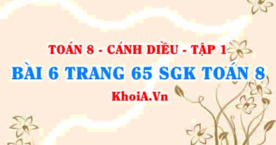 Bài 6 trang 65 SGK Toán 8 tập 1 Cánh Diều